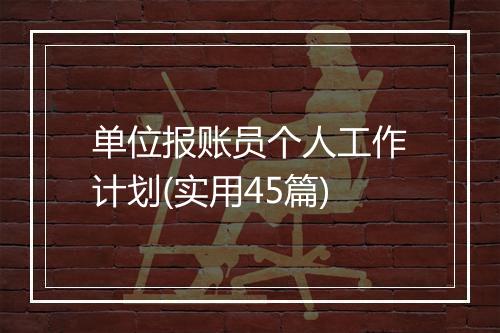 单位报账员个人工作计划(实用45篇)