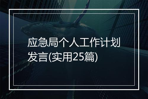 应急局个人工作计划发言(实用25篇)