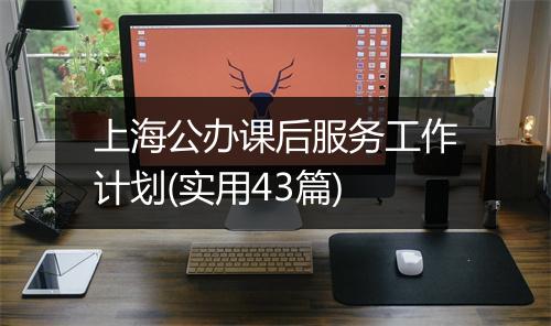 上海公办课后服务工作计划(实用43篇)
