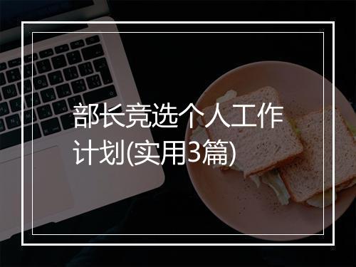 部长竞选个人工作计划(实用3篇)