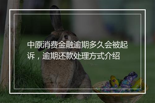 中原消费金融逾期多久会被起诉，逾期还款处理方式介绍