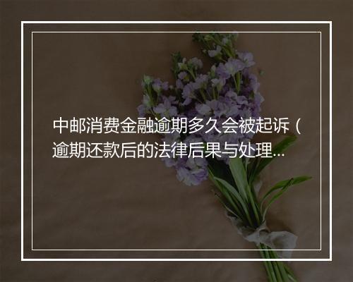 中邮消费金融逾期多久会被起诉（逾期还款后的法律后果与处理方式）