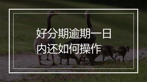 好分期逾期一日内还如何操作