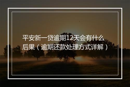 平安新一贷逾期12天会有什么后果（逾期还款处理方式详解）