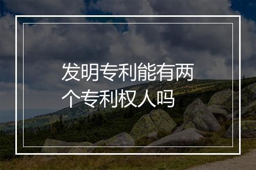发明专利能有两个专利权人吗