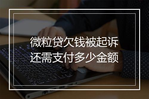 微粒贷欠钱被起诉还需支付多少金额