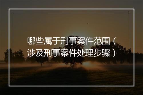 哪些属于刑事案件范围（涉及刑事案件处理步骤）