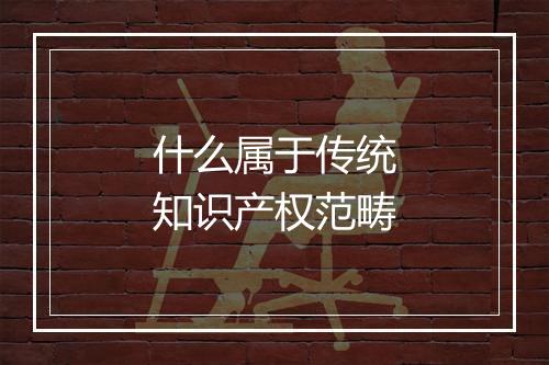什么属于传统知识产权范畴