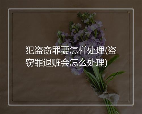 犯盗窃罪要怎样处理(盗窃罪退赃会怎么处理)