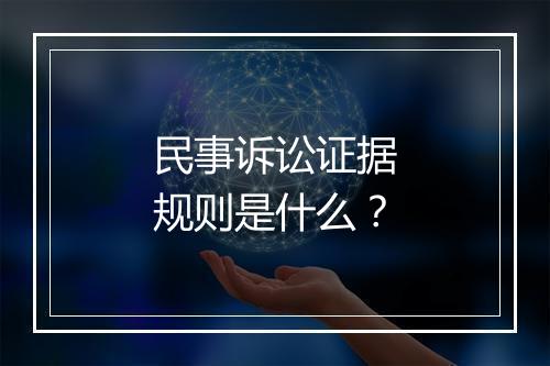 民事诉讼证据规则是什么？