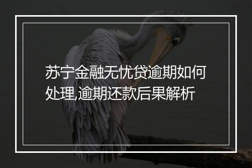 苏宁金融无忧贷逾期如何处理,逾期还款后果解析