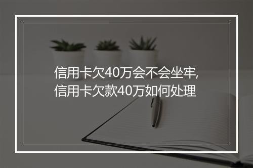 信用卡欠40万会不会坐牢,信用卡欠款40万如何处理