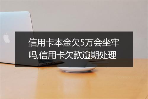 信用卡本金欠5万会坐牢吗,信用卡欠款逾期处理