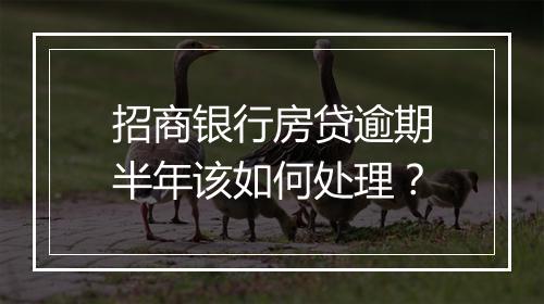 招商银行房贷逾期半年该如何处理？