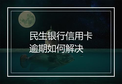 民生银行信用卡逾期如何解决