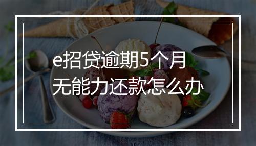 e招贷逾期5个月无能力还款怎么办