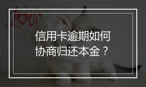 信用卡逾期如何协商归还本金？