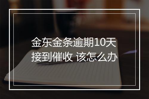 金东金条逾期10天接到催收 该怎么办