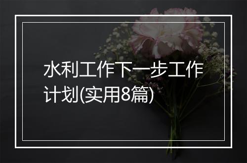 水利工作下一步工作计划(实用8篇)