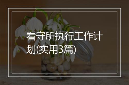 看守所执行工作计划(实用3篇)