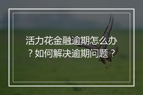 活力花金融逾期怎么办？如何解决逾期问题？