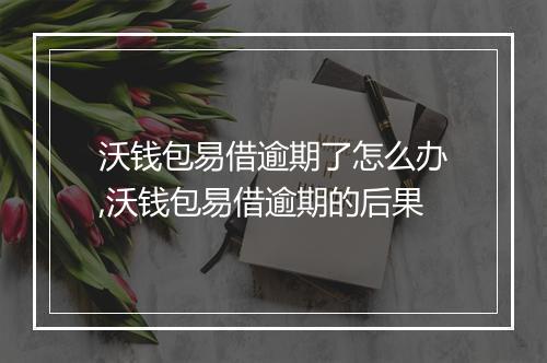 沃钱包易借逾期了怎么办,沃钱包易借逾期的后果