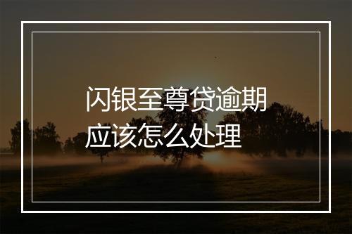闪银至尊贷逾期应该怎么处理