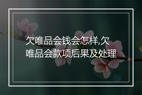 欠唯品会钱会怎样,欠唯品会款项后果及处理