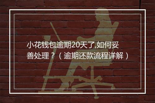 小花钱包逾期20天了,如何妥善处理？（逾期还款流程详解）