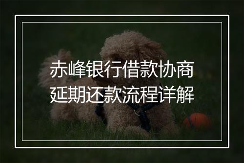赤峰银行借款协商延期还款流程详解