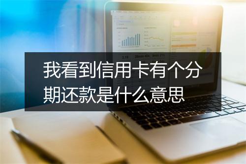 我看到信用卡有个分期还款是什么意思