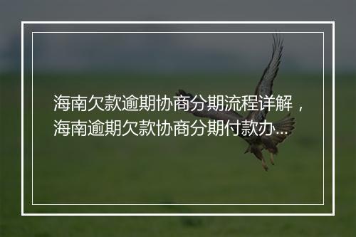 海南欠款逾期协商分期流程详解，海南逾期欠款协商分期付款办法