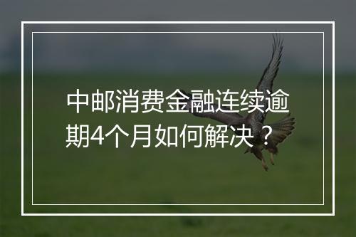 中邮消费金融连续逾期4个月如何解决？