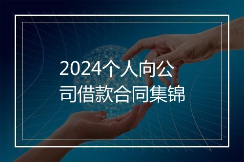 2024个人向公司借款合同集锦