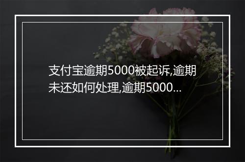 支付宝逾期5000被起诉,逾期未还如何处理,逾期5000被起诉后果