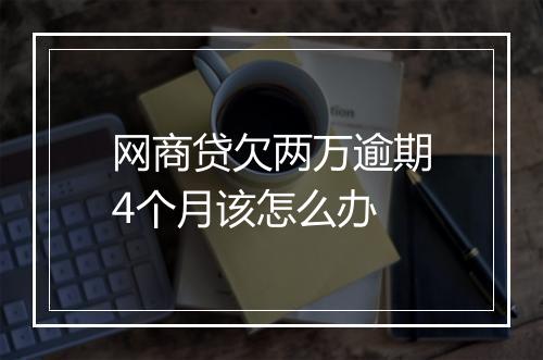 网商贷欠两万逾期4个月该怎么办