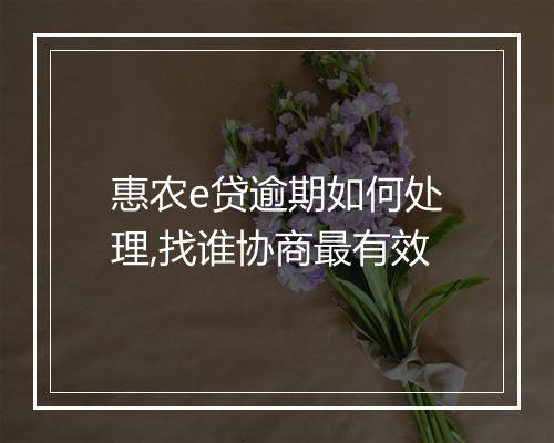 惠农e贷逾期如何处理,找谁协商最有效