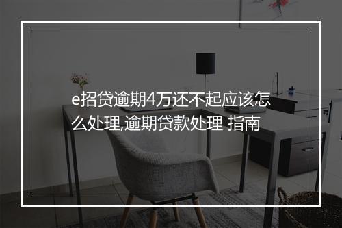 e招贷逾期4万还不起应该怎么处理,逾期贷款处理 指南