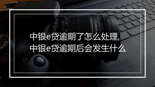 中银e贷逾期了怎么处理,中银e贷逾期后会发生什么