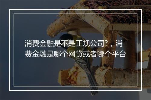 消费金融是不是正规公司?，消费金融是哪个网贷或者哪个平台