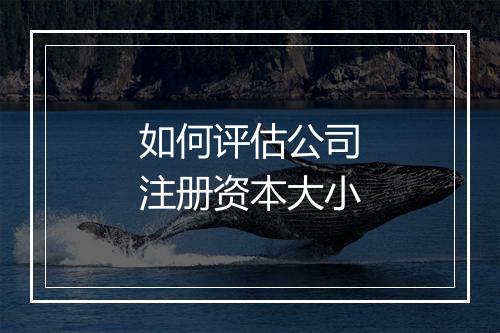 如何评估公司注册资本大小