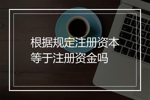 根据规定注册资本等于注册资金吗