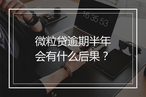 微粒贷逾期半年会有什么后果？