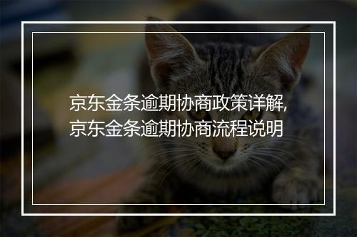 京东金条逾期协商政策详解,京东金条逾期协商流程说明