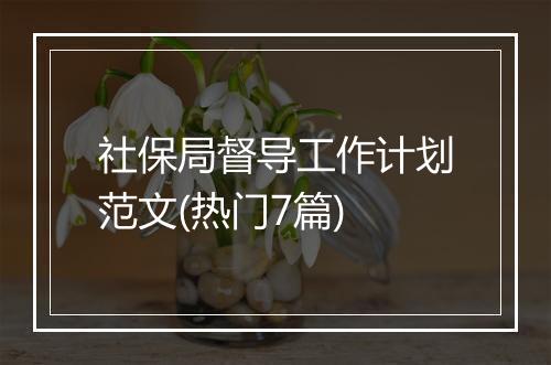 社保局督导工作计划范文(热门7篇)