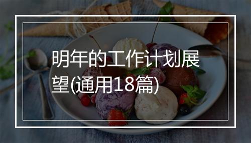 明年的工作计划展望(通用18篇)