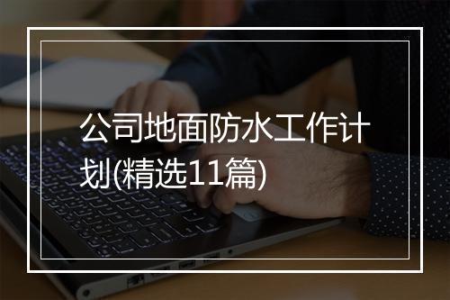 公司地面防水工作计划(精选11篇)