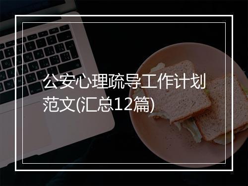 公安心理疏导工作计划范文(汇总12篇)