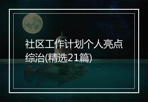 社区工作计划个人亮点综治(精选21篇)