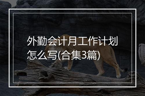 外勤会计月工作计划怎么写(合集3篇)